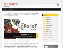 Tablet Screenshot of binahead.com